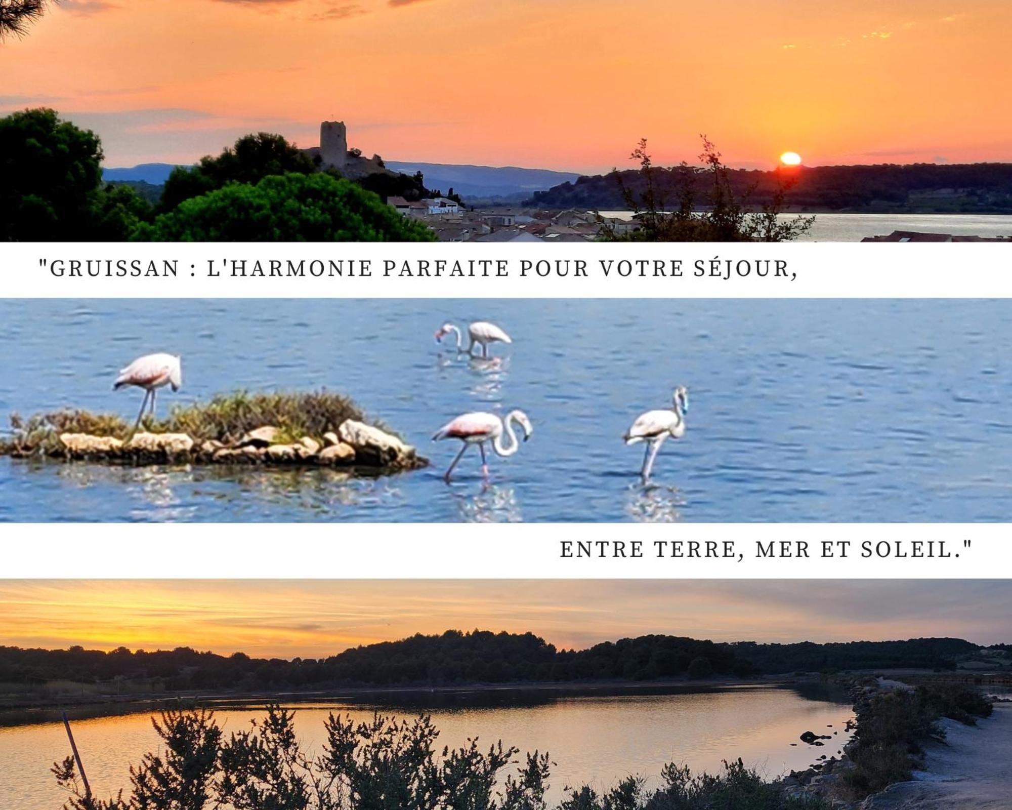 L'Eden - Vue Magnifique Sur Le Port, Les Chalets & La Mer - Gruissan Exteriér fotografie